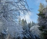 Winter Ardennen (1)